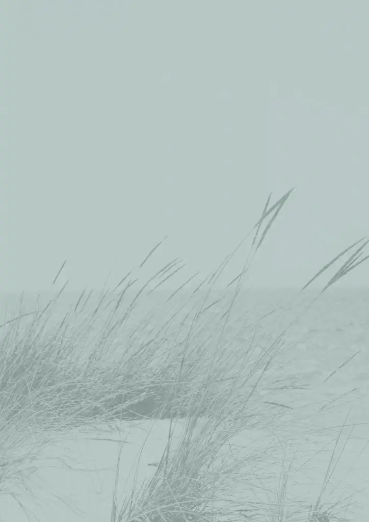 Stéphanie Cathelain RH